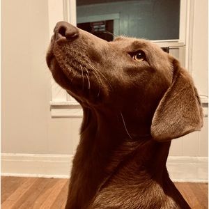 Meet your Posher, Jadyn